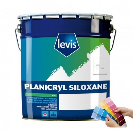 Peinture LEVIS Planicryl siloxane blanc 5L