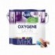 Peinture LEVIS Oxygène satin base W 1L