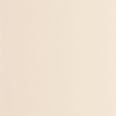 Papier Peint CASADECO Moulures & Co MOCO200331101