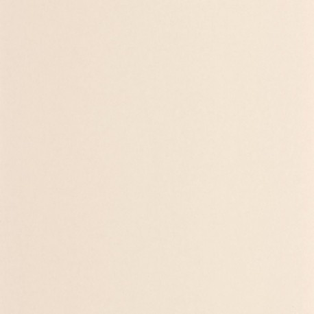Papier Peint CASADECO Moulures & Co MOCO200331101
