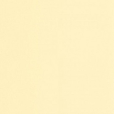 Papier Peint CASADECO Moulures & Co MOCO200332002
