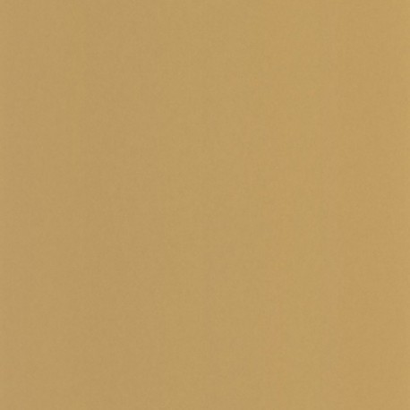 Papier Peint CASADECO Moulures & Co MOCO200332424