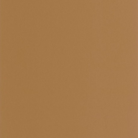 Papier Peint CASADECO Moulures & Co MOCO200332626