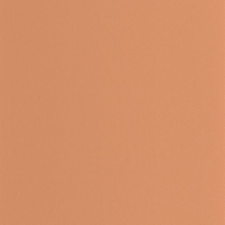 Papier Peint CASADECO Moulures & Co MOCO200333320