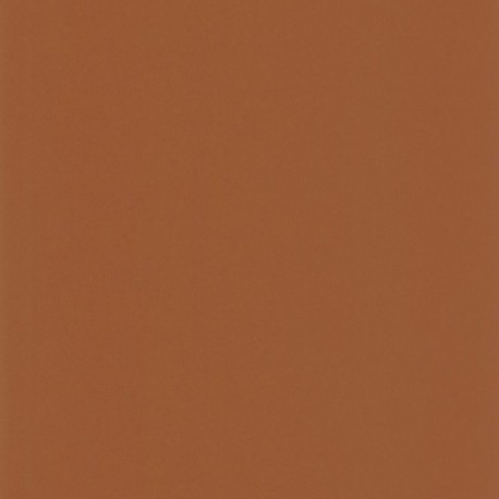 Papier Peint CASADECO Moulures & Co MOCO200333443