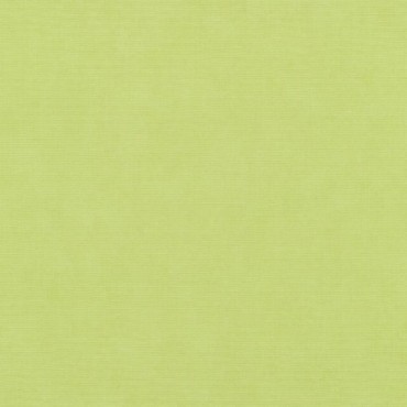 Papier Peint ERISAMANN Colours & Textures 10473-35