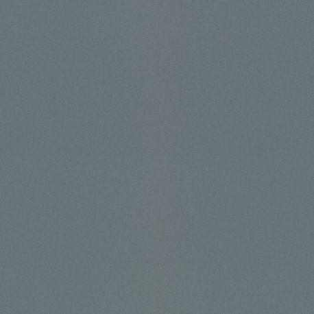 Papier Peint ERISAMANN Colours & Textures 12226-01