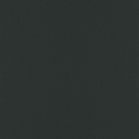 Papier Peint ERISMANN Spotlight 12199-01