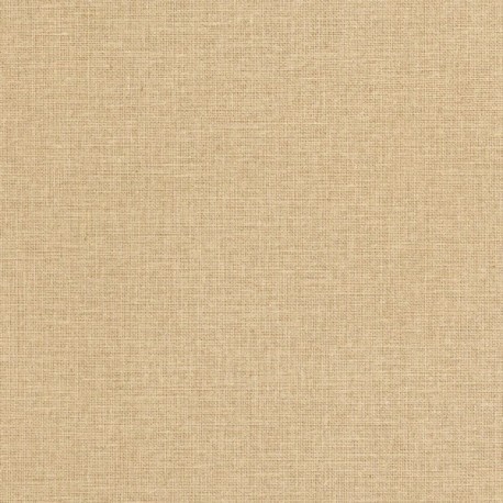 Papier Peint CASELIO Moonlight 3 MNL3104011299