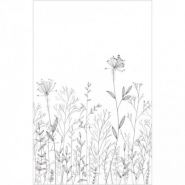 Panoramique CASELIO Moonlight 3 MNL3107220904