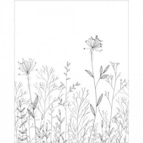 Panoramique CASELIO Moonlight 3 MNL3107220905