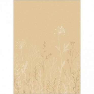 Panoramique CASELIO Moonlight 3 MNL3107221003