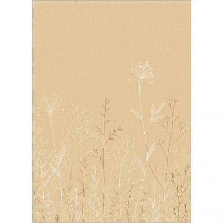 Panoramique CASELIO Moonlight 3 MNL3107221003