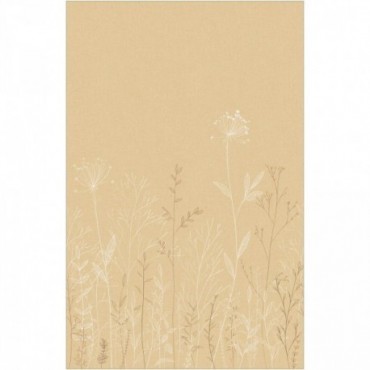 Panoramique CASELIO Moonlight 3 MNL3107221004