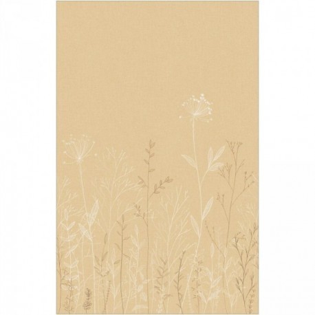 Panoramique CASELIO Moonlight 3 MNL3107221004