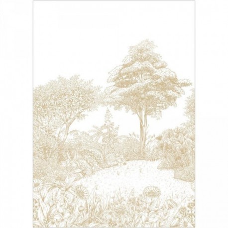 Panoramique CASELIO Moonlight 3 MNL3107230103