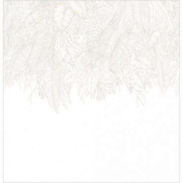 Panoramique CASELIO Moonlight 3 MNL3107260009