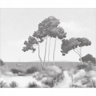 Panoramique CASELIO Moonlight 3 MNL3107270907