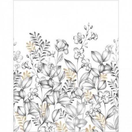 Panoramique CASELIO Moonlight 3 MNL3107280905