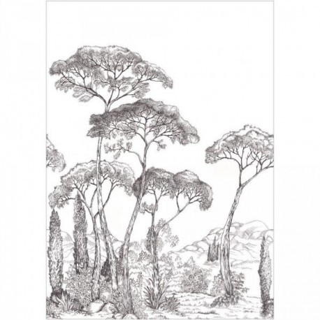 Panoramique CASELIO Moonlight 3 MNL3107290903