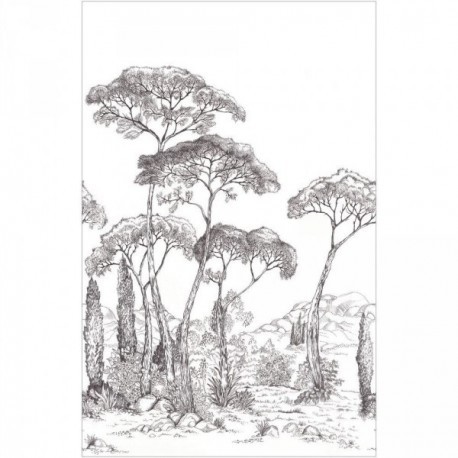 Panoramique CASELIO Moonlight 3 MNL3107290904