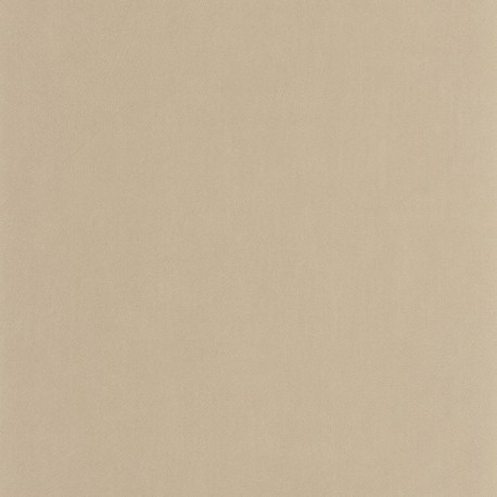 Papier Peint CASADECO So Color 6 SOCO201001313
