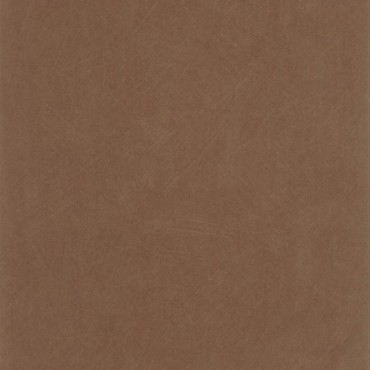 Papier Peint CASADECO So Color 6 SOCO201002808