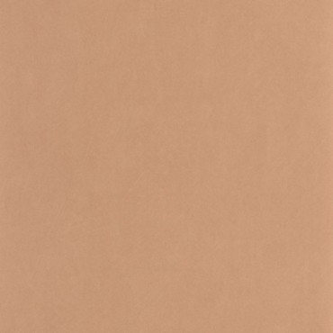 Papier Peint CASADECO So Color 6 SOCO201003404