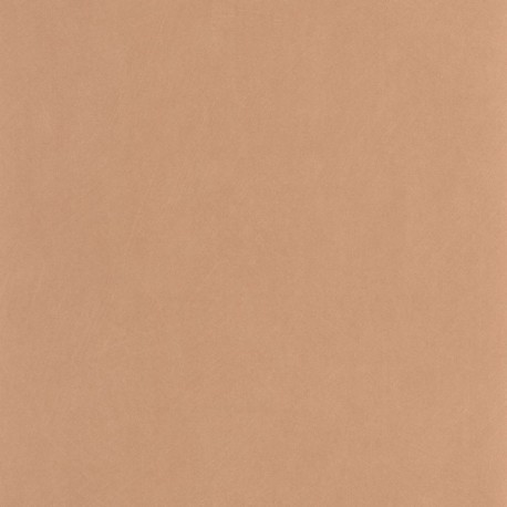 Papier Peint CASADECO So Color 6 SOCO201003404