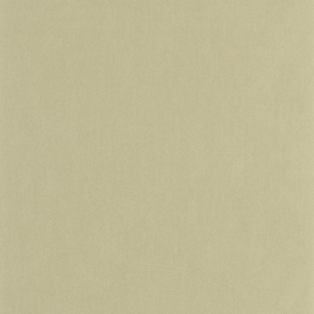 Papier Peint CASADECO So Color 6 SOCO201007202