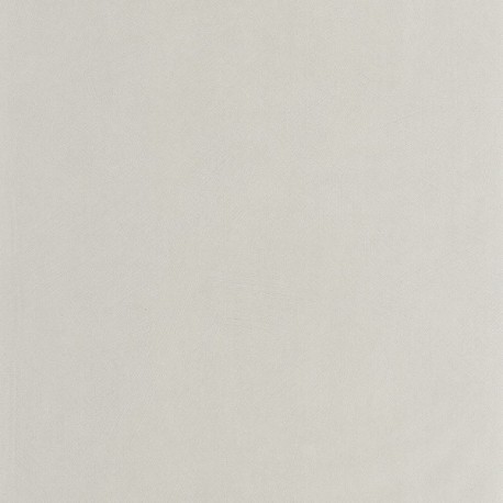 Papier Peint CASADECO So Color 6 SOCO201009229