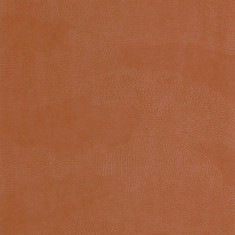 Papier Peint CASADECO So Color 6 SOCO201133535