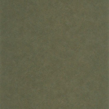 Papier Peint CASADECO So Color 6 SOCO201287909