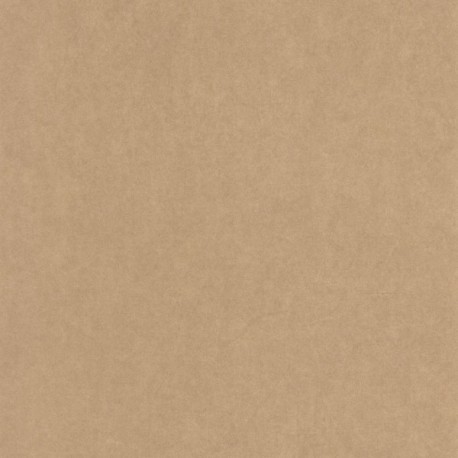 Papier Peint CASADECO So Color 6 SOCO82381689