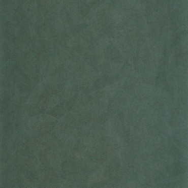 Papier Peint CASADECO So Color 6 SOCO86426345