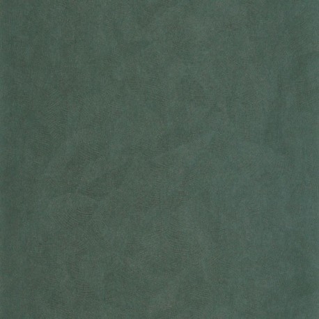 Papier Peint CASADECO So Color 6 SOCO86426345