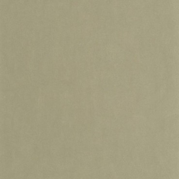 Papier Peint CASADECO So Color 6 SOCO86427223