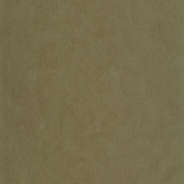 Papier Peint CASADECO So Color 6 SOCO86427712