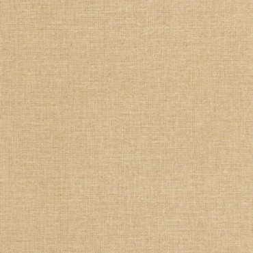 Papier Peint CASELIO Moonlight 3 MNL3104011299