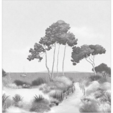 Panoramique CASELIO Moonlight 3 MNL3107270907