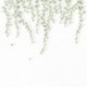 Panoramique CASADECO Wonderwalls 3 WDWT202277409NW