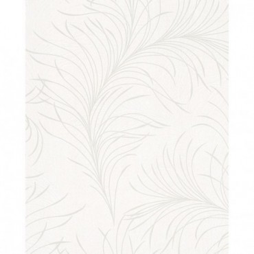DELZONGLE Prima 6024