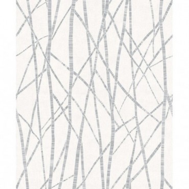 DELZONGLE Prima 6026
