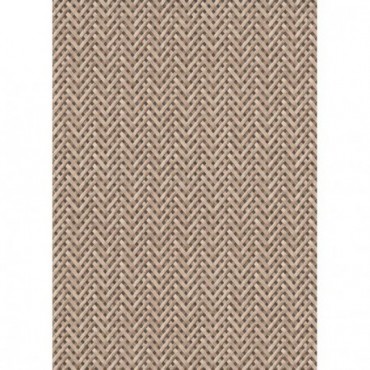 DELZONGLE Prima 6041