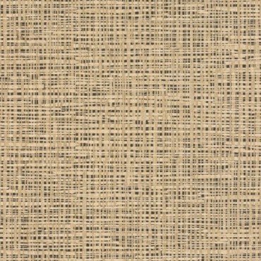 DELZONGLE Prima 6042
