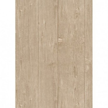 DELZONGLE Prima 6044