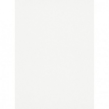 DELZONGLE Prima 6066