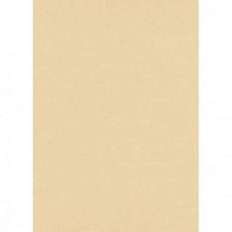 Papier peint stock DELZONGLE Collection PRIMA 2025 référence 6004