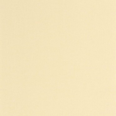 Papier Peint CASELIO Cocoon CCON107992300