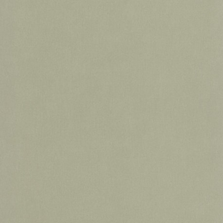 Papier Peint CASELIO Forma FOA64527210
